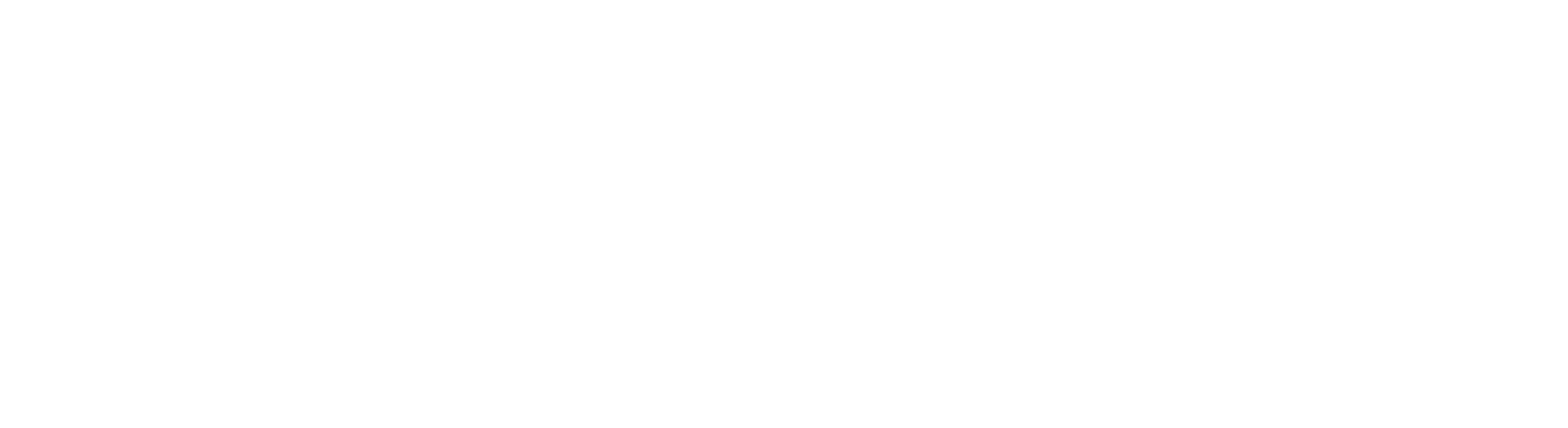 swn logo rgb weiss c v RZ px